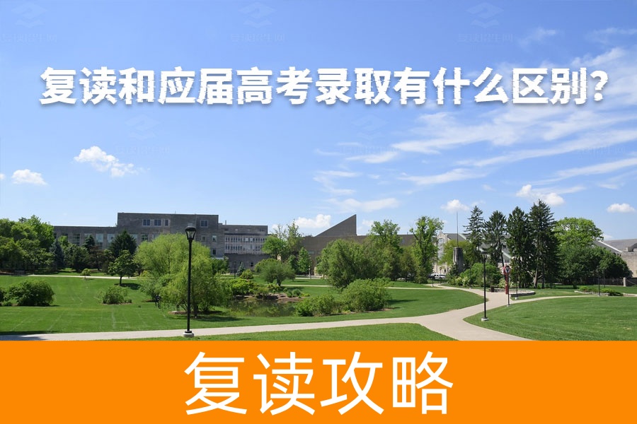 复读和应届高考录取有什么区别?了解这些差别,让你选择更明智